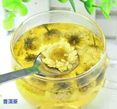 来例假可以喝菊花普洱茶嘛-来例假可以喝菊花普洱茶嘛女生