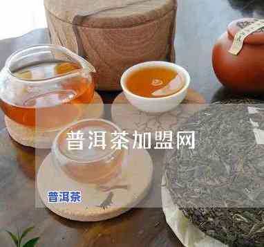 重庆普洱茶招商加盟-重庆普洱茶招商加盟电话