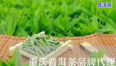 重庆普洱茶招商加盟-重庆普洱茶招商加盟电话