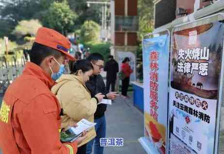 柳州资深普洱茶招商-柳州资深普洱茶招商电话