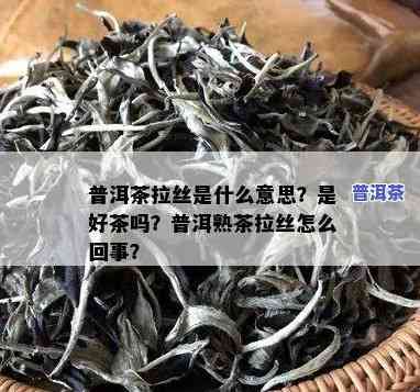 老普洱茶有点扯丝还能喝吗？起因解析