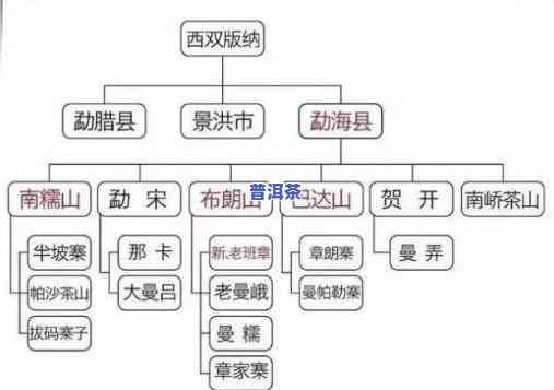 普洱茶山的分部：揭秘云南普洱茶的主要产区