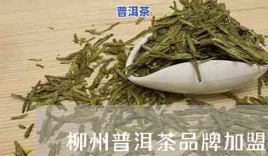 柳州普洱茶渠道招商-柳州普洱茶渠道招商电话