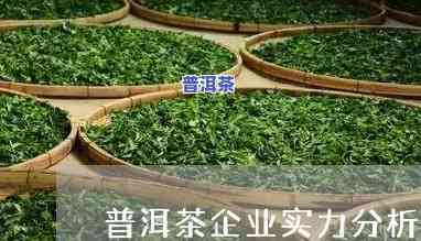 普洱茶企业难点分析-普洱茶企业难点分析报告