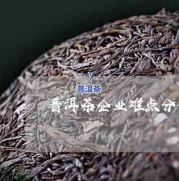 普洱茶企业难点分析-普洱茶企业难点分析报告