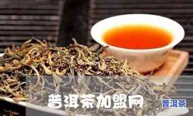 佛山普洱茶加盟-佛山普洱茶加盟店