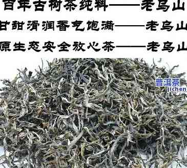 最新老乌山茶叶价格走势及多少钱一斤