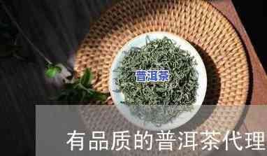 可靠普洱茶代理，信赖之选：优质普洱茶代理推荐