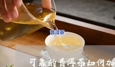 可靠普洱茶代理，信赖之选：优质普洱茶代理推荐