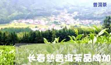 长春普洱茶招商-长春普洱茶招商电话