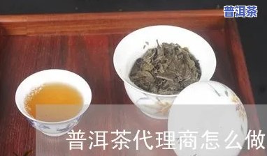 熟悉知名普洱茶代理条件：详细解析与请求