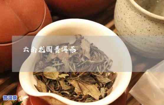 龙园号普洱茶60周年纪念，庆祝60周年！品尝龙园号普洱茶的珍贵纪念品