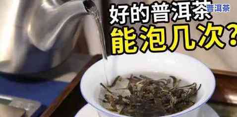 普洱茶最多可冲泡多少次？