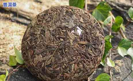 普洱茶压饼蒸茶需多久，普洱茶压饼蒸茶时间：你需要知道的细节