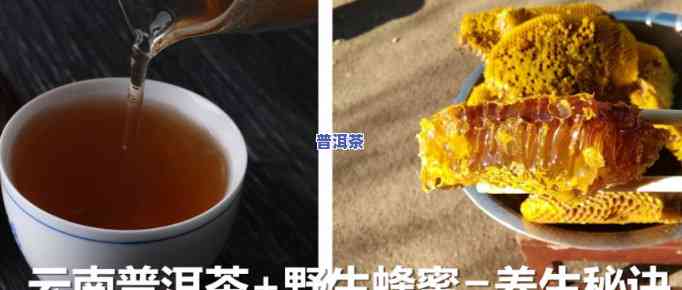 普洱茶能不能加蜂蜜，探讨普洱茶与蜂蜜的搭配：口感新体验？