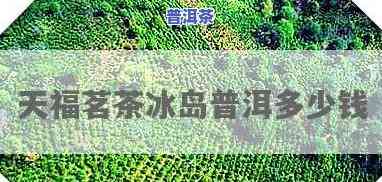 天福冰岛普洱熟茶价格表：详细解析天福茗茶冰岛普洱的市场价格