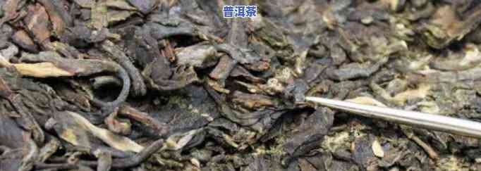 普洱茶出口有几个地方-普洱茶出口有几个地方啊