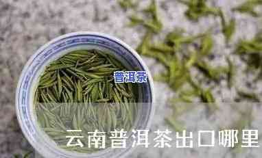 普洱茶出口有几个地方-普洱茶出口有几个地方啊