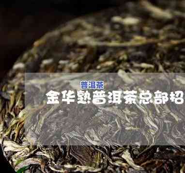 金华普洱茶渠道招商-金华普洱茶渠道招商电话