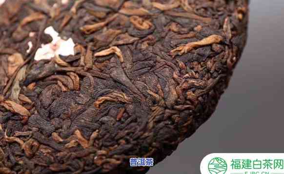 怎样识别熟普洱茶真假图解-怎样识别熟普洱茶真假图解视频