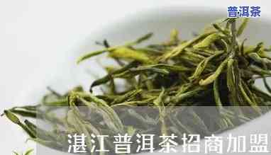 湛江普洱茶代理招商-普洱茶代理