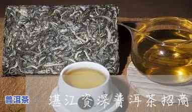 湛江普洱茶代理招商-普洱茶代理