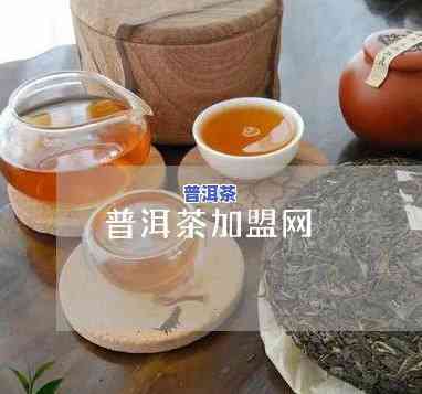 湛江普洱茶代理招商-普洱茶代理