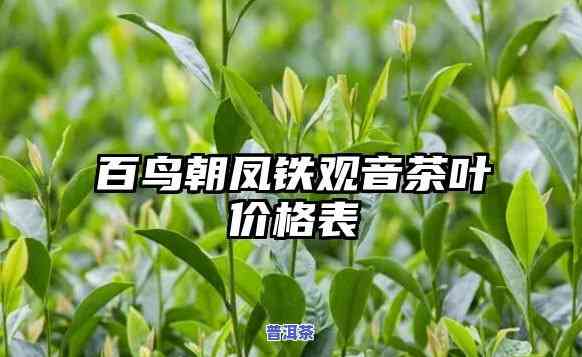 百鸟朝凤茶价格表：全面了解古树红茶与其它茶叶的价格信息