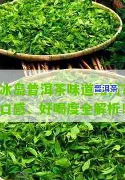 探究薄荷糖普洱茶的特别口感：对比老寨普洱茶与冰岛普洱