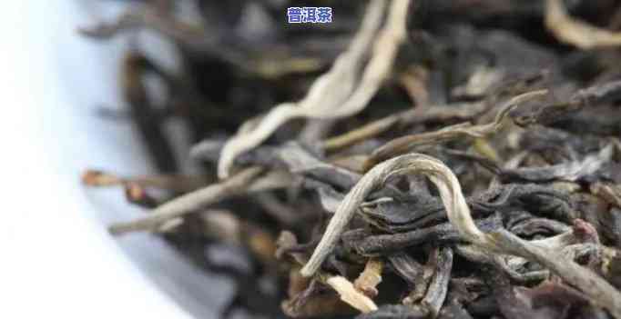 春夏喝的普洱茶品种图片大全，怎样选择？春茶、夏茶有何区别？