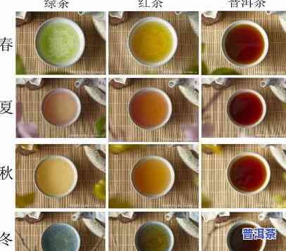 春夏秋冬普洱茶，四季皆宜：品尝普洱茶的无穷魅力