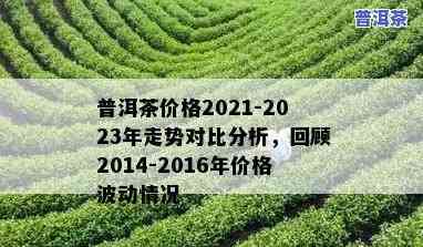 普洱茶趋势分析报告，揭示未来：2023年普洱茶市场趋势分析报告