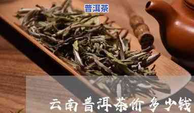 云南春茗普洱茶多少钱一斤-云南春茗普洱茶多少钱一斤啊