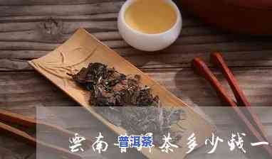 云南春茗普洱茶多少钱一斤-云南春茗普洱茶多少钱一斤啊