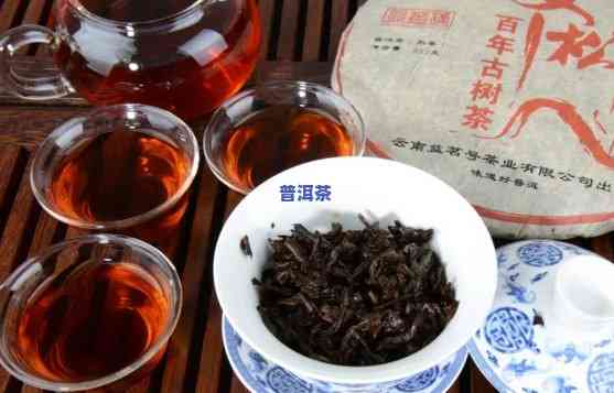 各款性价比高的普洱茶-各款性价比高的普洱茶有哪些