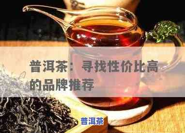 各款性价比高的普洱茶-各款性价比高的普洱茶有哪些