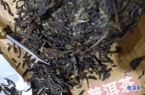 福鼎有普洱茶吗？求解！