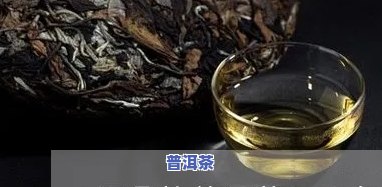 福鼎普洱茶怎么代理-福鼎普洱茶怎么代理加盟