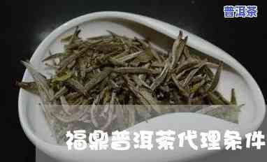 福鼎普洱茶怎么代理-福鼎普洱茶怎么代理加盟