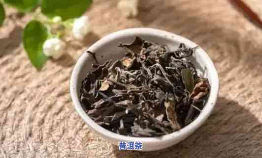 白茶和普洱茶原料是一样吗为什么，揭秘白茶与普洱茶原料的差异，为何它们口感不同？