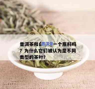 白茶和普洱茶原料是一样吗-白茶和普洱茶原料是一样吗为什么