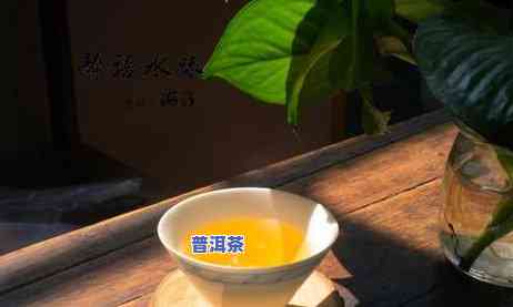 杭州普洱茶专卖店在哪里，寻找好茶？杭州普洱茶专卖店地址全攻略！