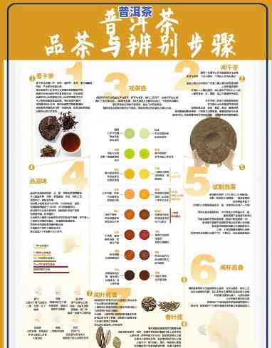 普洱茶鉴赏手册：内容、版全面解析