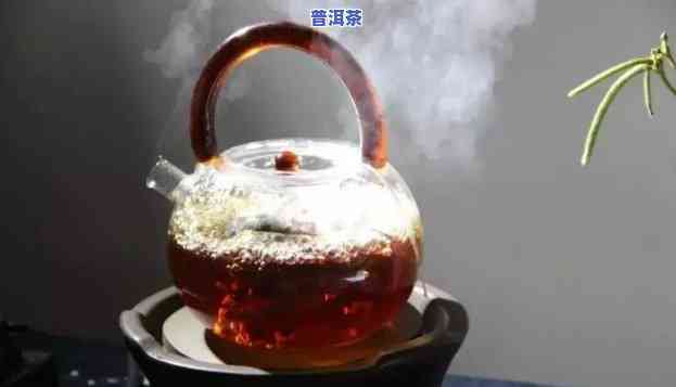 普洱茶用蒸还是煮喝-普洱茶用蒸还是煮喝好