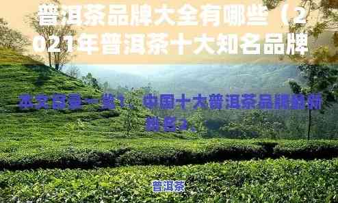 福建普洱茶排行榜，探秘福建：揭秘普洱茶排行榜