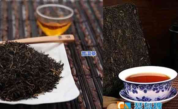 藏茶和普洱哪个更减肥，藏茶 VS 普洱：哪种茶叶更能帮助减肥？