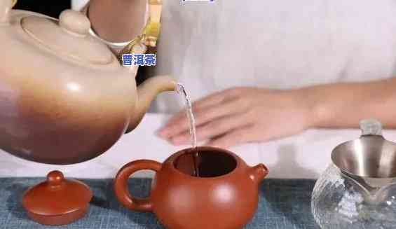 ：怎么用紫茶壶泡普洱茶视频教程