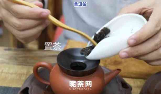 ：怎么用紫茶壶泡普洱茶视频教程