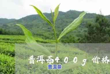 400克普洱茶的价格是多少？请给出详细回答。