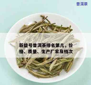 新益号普洱茶品质怎么样，权威评测：新益号普洱茶的品质究竟怎样？